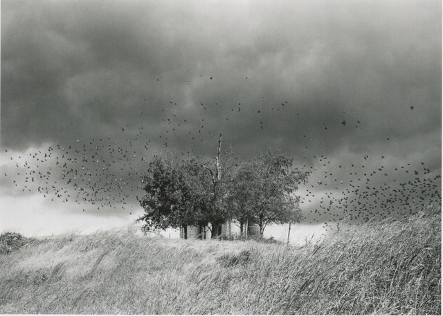 Mark Steinmetz, ‘Jefferson City, Tennessee’, 1991, Yancey Richardson Gallery