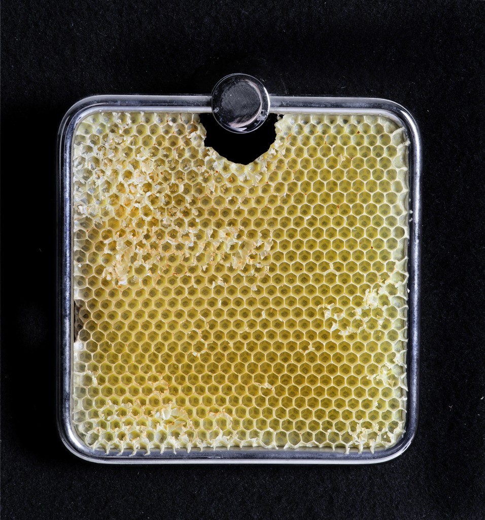 Sema Bekirovic, Untitled (Bees), 2011, gift Pieter en Marieke Sanders. Sema Bekirovic, Untitled (Bees), 2011, gift Pieter en Marieke Sanders.