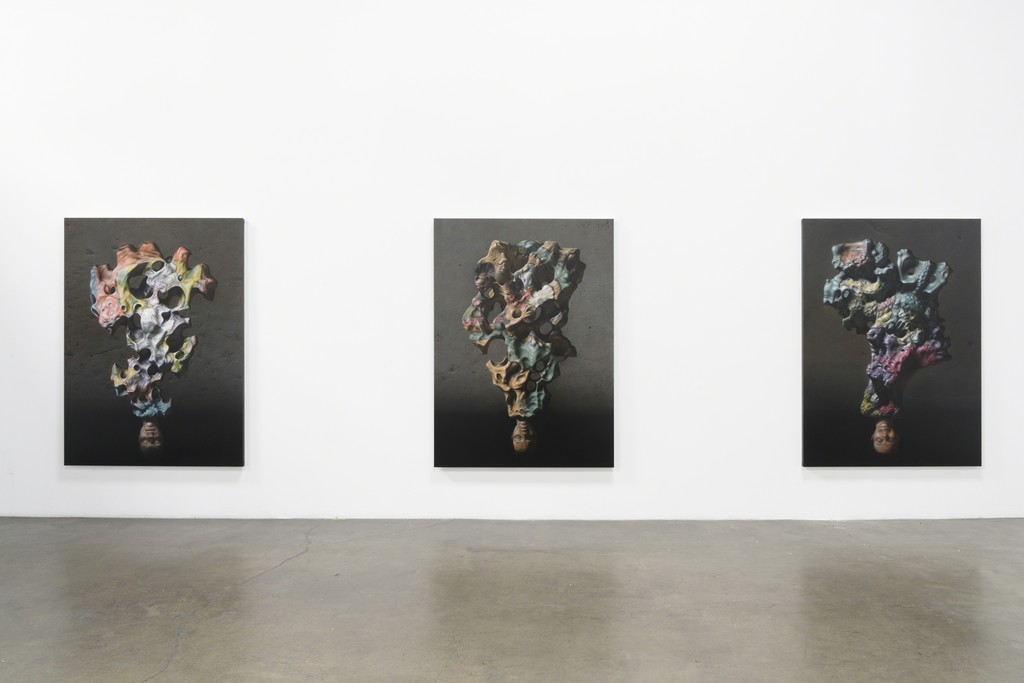 Installation view: Christian Rex van Minnen - "Mourning Wood in Liminal Dawn" @ Richard Heller Gallery, November 4 - December 23, 2017. Photo by Alan Shaffer. Installation view: Christian Rex van Minnen - "Mourning Wood in Liminal Dawn" @ Richard Heller Gallery, November 4 - December 23, 2017. Photo by Alan Shaffer.