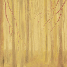 Dan Perkins