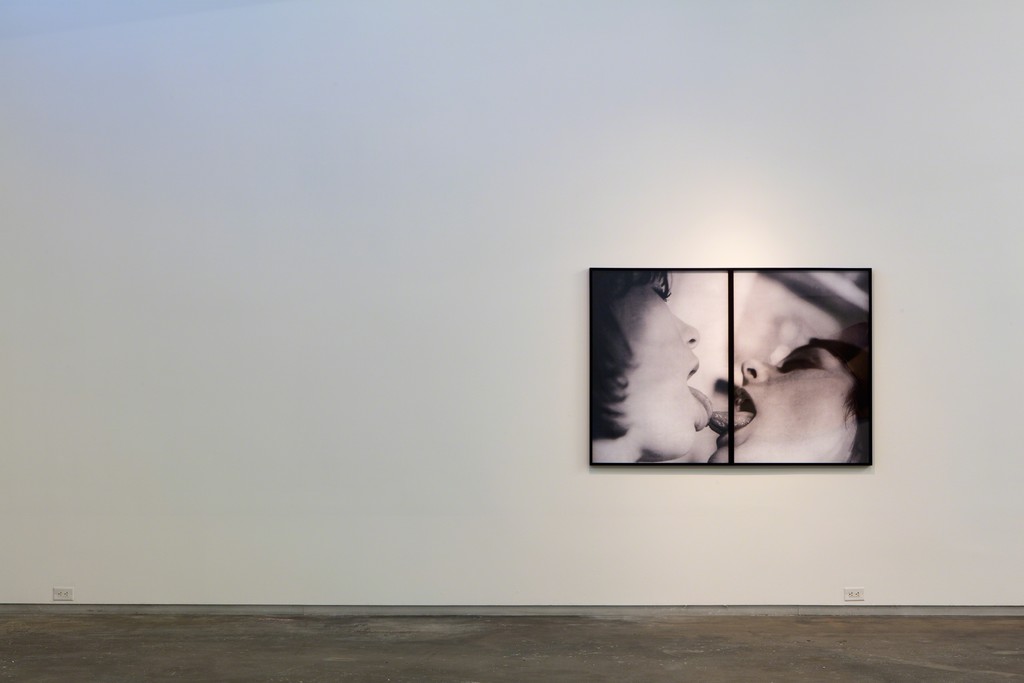 Black Sheep Feminism. Installation view, Dallas Contemporary, 2016. Photo: Kevin Todora Black Sheep Feminism. Installation view, Dallas Contemporary, 2016. Photo: Kevin Todora