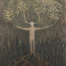 Elizabeth Shull