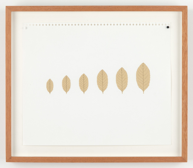 Mateo López, ‘Leaves (xs, s, m, l, xl, xxl)’, 2015, Casey Kaplan