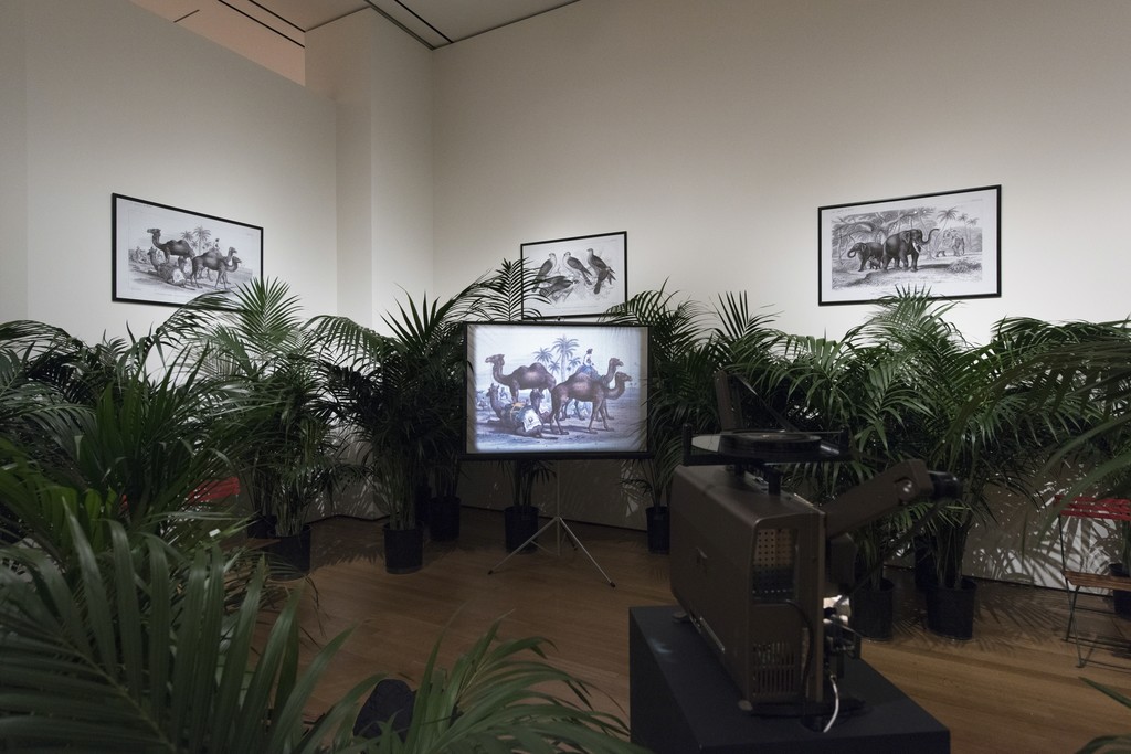 Installation view of Marcel Broodthaers: A Retrospective. The Museum of Modern Art, New York, February 14–May 15, 2016. © 2016 The Museum of Modern Art. Photo: Martin Seck Installation view of Marcel Broodthaers: A Retrospective. The Museum of Modern Art, New York, February 14–May 15, 2016. © 2016 The Museum of Modern Art. Photo: Martin Seck