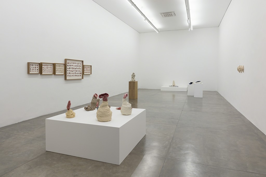 Brígida Baltar -- A Carne do Mar -- exhibition view -- Galeria Nara Roesler | São Paulo, 2018 -- photo Everton Ballardin © courtesy of the artist and Galeria Nara Roesler
Brígida Baltar -- A Carne do Mar -- exhibition view -- Galeria Nara Roesler | São Paulo, 2018 -- photo Everton Ballardin © courtesy of the artist and Galeria Nara Roesler
