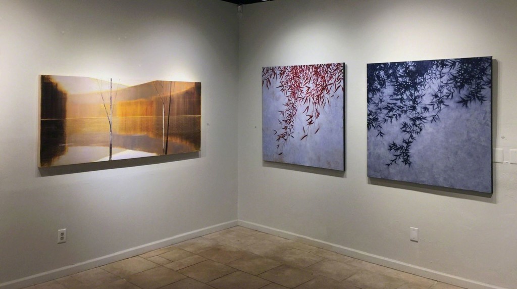 A Corner of Nature installation view: Stephen Pentak & David Kidd A Corner of Nature installation view: Stephen Pentak & David Kidd