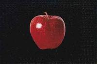 The Apple