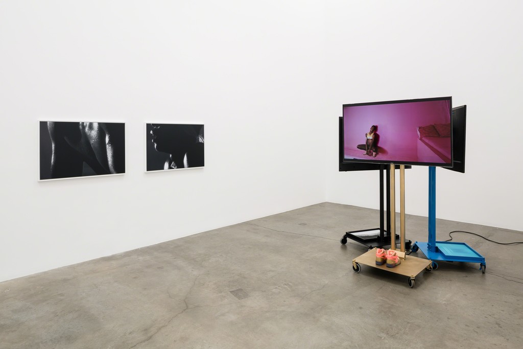 Jen DeNike, If She Hollers, Installation view, 2015 Jen DeNike, If She Hollers, Installation view, 2015