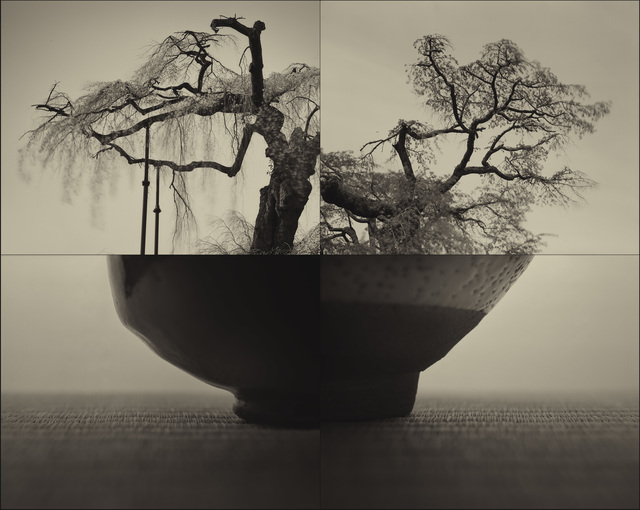 Keiichi Ito, ‘Yoritomo - SAKURA (C934)’, 2017, Micheko Galerie