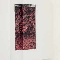 Liza Eurich