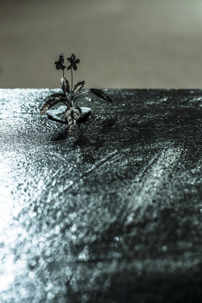 Photo by Hitomi Sato Photo by Hitomi Sato