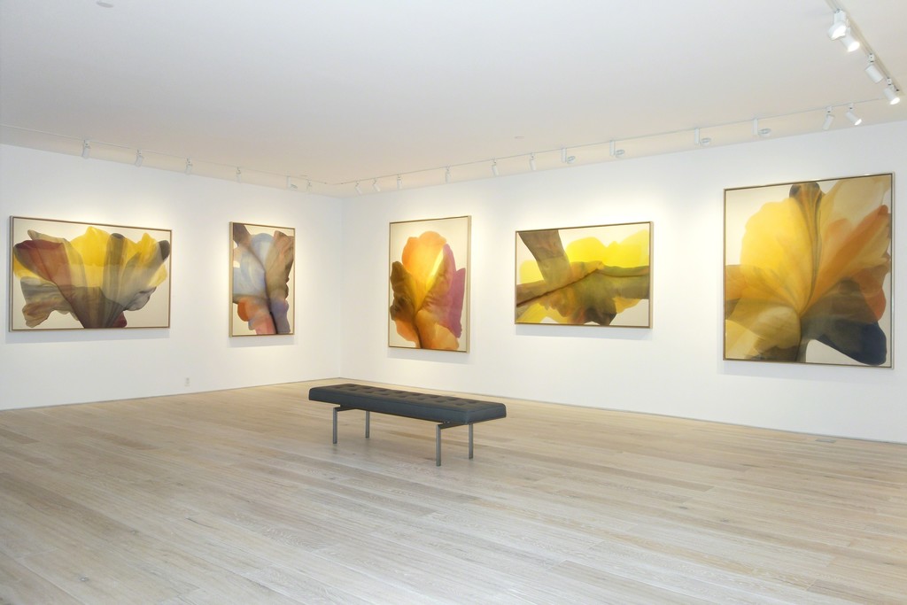 Irene Monat Stern - Installation view Irene Monat Stern - Installation view
