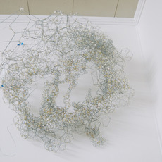 Rebecca Ripple
