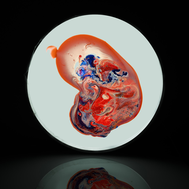 Meaghan Matthews, ‘Foetus’, 2019, Elevastor
