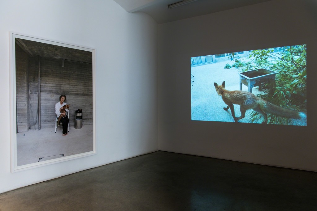 Exhibition view JUERGEN TELLER, 2018
Christine König Galerie, Vienna Exhibition view JUERGEN TELLER, 2018
Christine König Galerie, Vienna