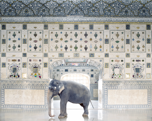 Karen Knorr, ‘Temple Servant, Amber Fort , Jaipur’, 2014, Galerie Les filles du calvaire
