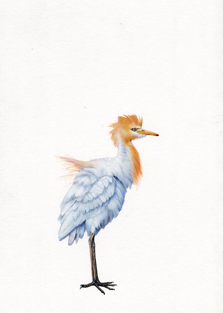 Dina Brodsky, ‘Egret’, 2019, Drawing, Collage or other Work on Paper, Watercolor and gouache on paper, Garvey | Simon