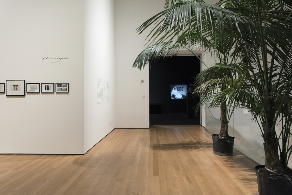 Installation view of Marcel Broodthaers: A Retrospective. The Museum of Modern Art, New York, February 14–May 15, 2016. © 2016 The Museum of Modern Art. Photo: Martin Seck Installation view of Marcel Broodthaers: A Retrospective. The Museum of Modern Art, New York, February 14–May 15, 2016. © 2016 The Museum of Modern Art. Photo: Martin Seck