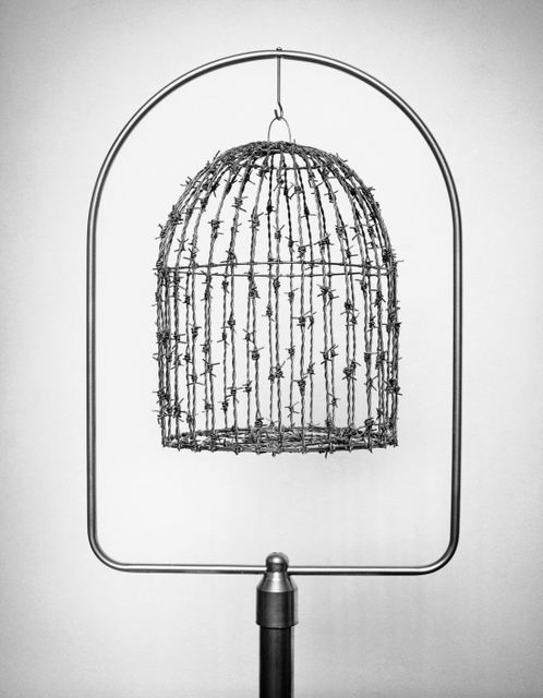 wire bird cage