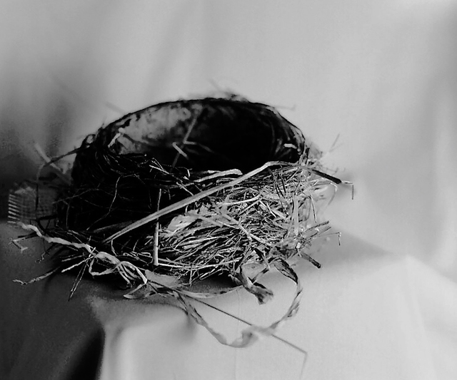 Denise Oehl, ‘Nest’, 2018, John Davis Gallery