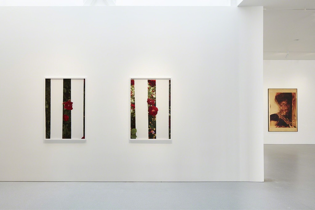 Artworks © Roe Ethridge. Photo by Johnna Arnold. Courtesy Gagosian. Artworks © Roe Ethridge. Photo by Johnna Arnold. Courtesy Gagosian.