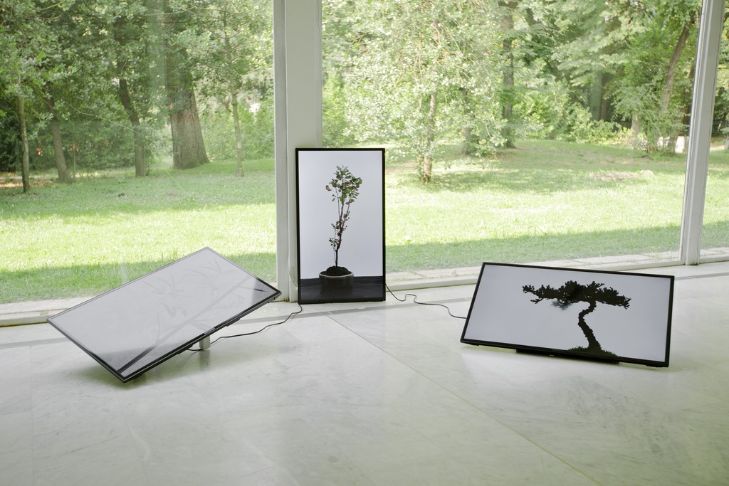 Photo: Nico Covre, Vulcano 2015 Photo: Nico Covre, Vulcano 2015