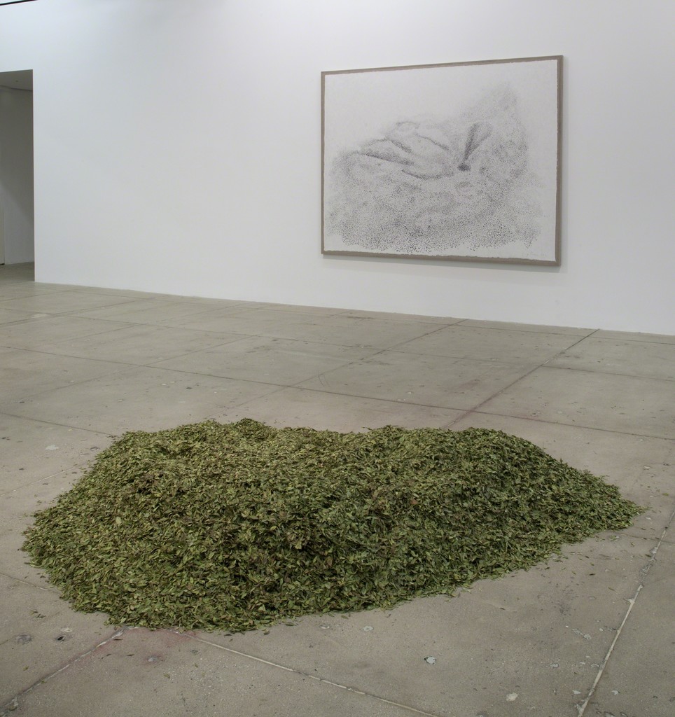 Giuseppe Penone: Indistinti confini/ Indistinct Boundaries; Installation View; Marian Goodman Gallery, New York; March 18 – April 25, 2015 Giuseppe Penone: Indistinti confini/ Indistinct Boundaries; Installation View; Marian Goodman Gallery, New York; March 18 – April 25, 2015