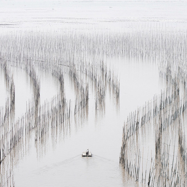 Stephen King 金昌民, ‘Morning Meander’, 2017, Alisan Fine Arts