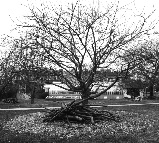 Penelope Stewart, ‘Les Vergers II A , black and white photograph on archival paper’, 2019, CMS Art Projects