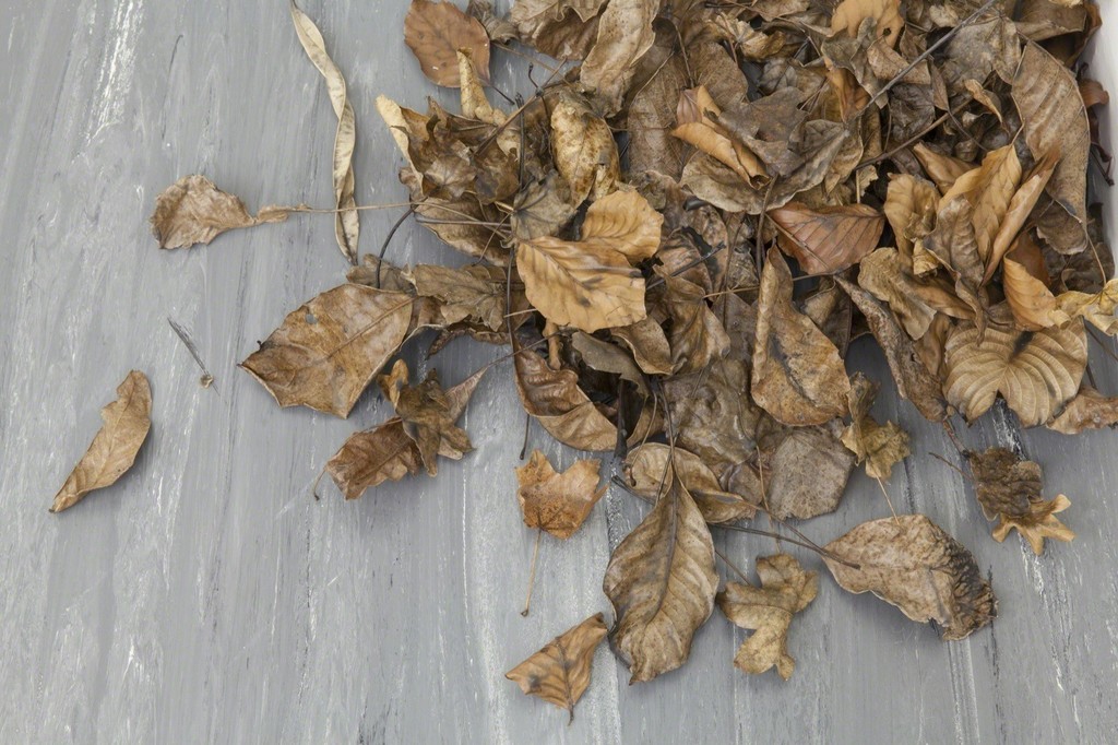 Exhibition vew: Anne Schneider − Ableger / Lessening Fold
© Belvedere, Vienna Exhibition vew: Anne Schneider − Ableger / Lessening Fold
© Belvedere, Vienna