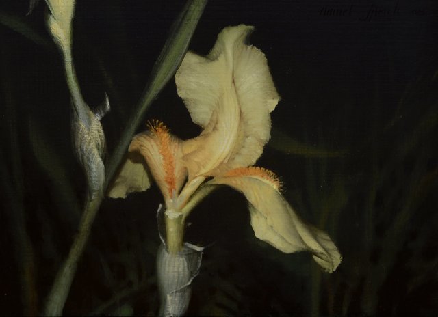 Daniel Sprick, ‘Iris ’, 2008, Gallery 1261