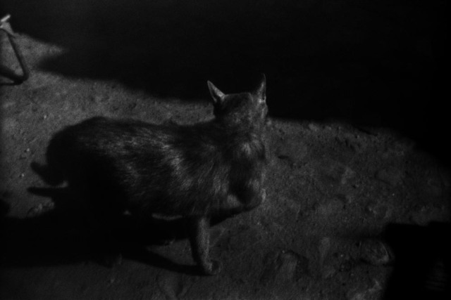 Yusuf Sevinçli, ‘020 - Sarajevo, série Oculus, 2015’, Galerie Les filles du calvaire