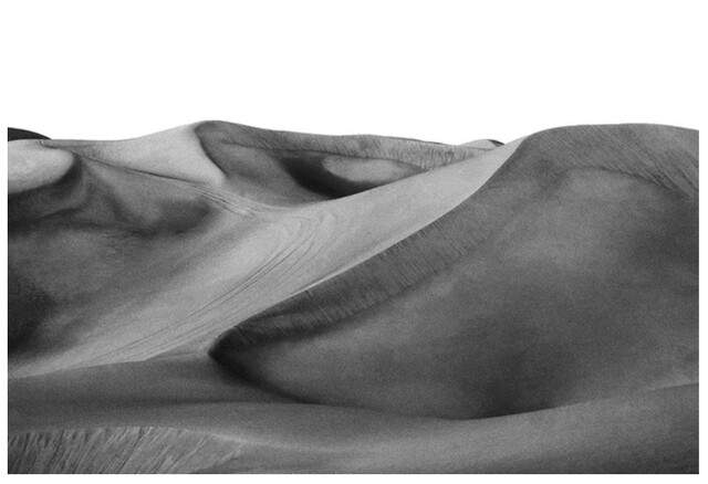 Untitled #21