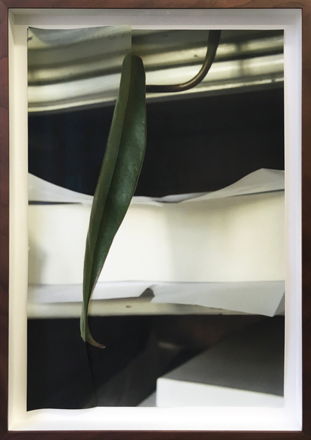 Sinta Werner, ‘Spaltungsirresein X’, 2018, Other, Sliced and folded archive pigment print, alexander levy