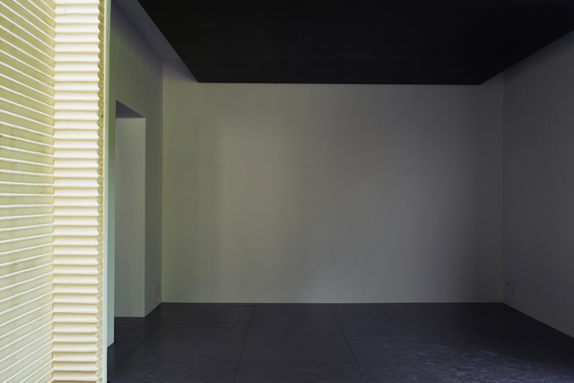 Heimo Zobernig, ‘Heimo Zobernig (Installation view)’, 2015, 56th Venice Biennale