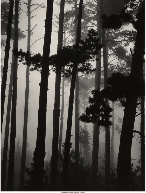Brett Weston, ‘Pines in Fog, Monterey’, 1962, Heritage Auctions