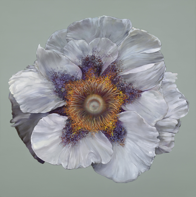 Carmelo Blandino, ‘The Knowing’, 2014, Print, Specimen mounted display, giclée print on paper, 48" x 48" / 60" x 60" framed, METHOD & CONCEPT