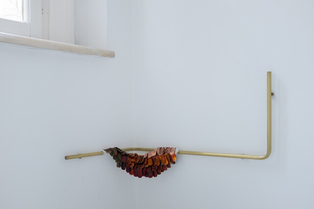 Operators from the Cambrian Onwards (Fragment III) — Gülşah Mursaloğlu (2019)