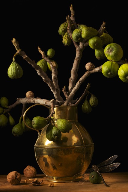 Paulette Tavormina, ‘Figs, after G.F.’, 2009, Robert Klein Gallery