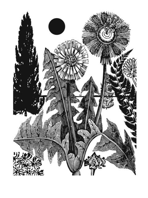 Paul Morrison, ‘Phyllotaxis’, 2007, Galerie Sabine Knust
