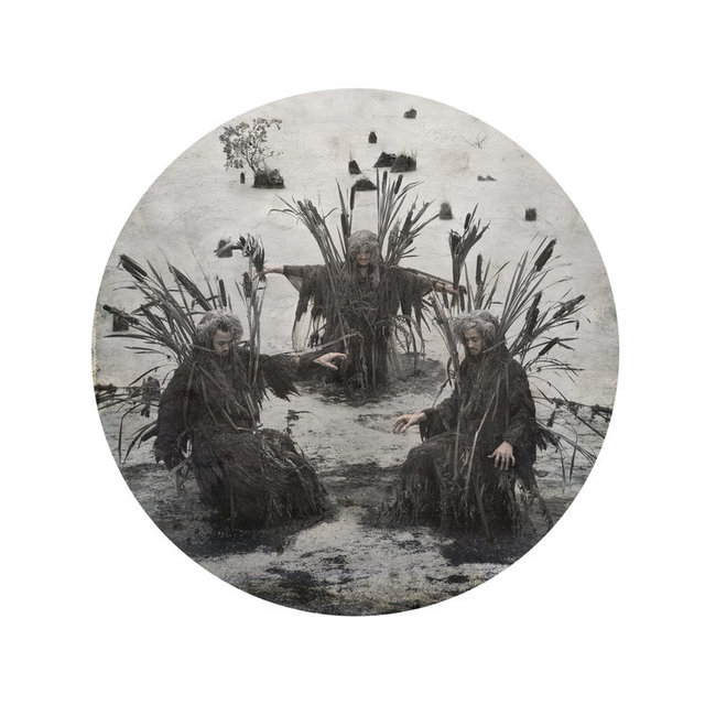 Kahn & Selesnick, ‘Swamp Thing’, Yancey Richardson Gallery