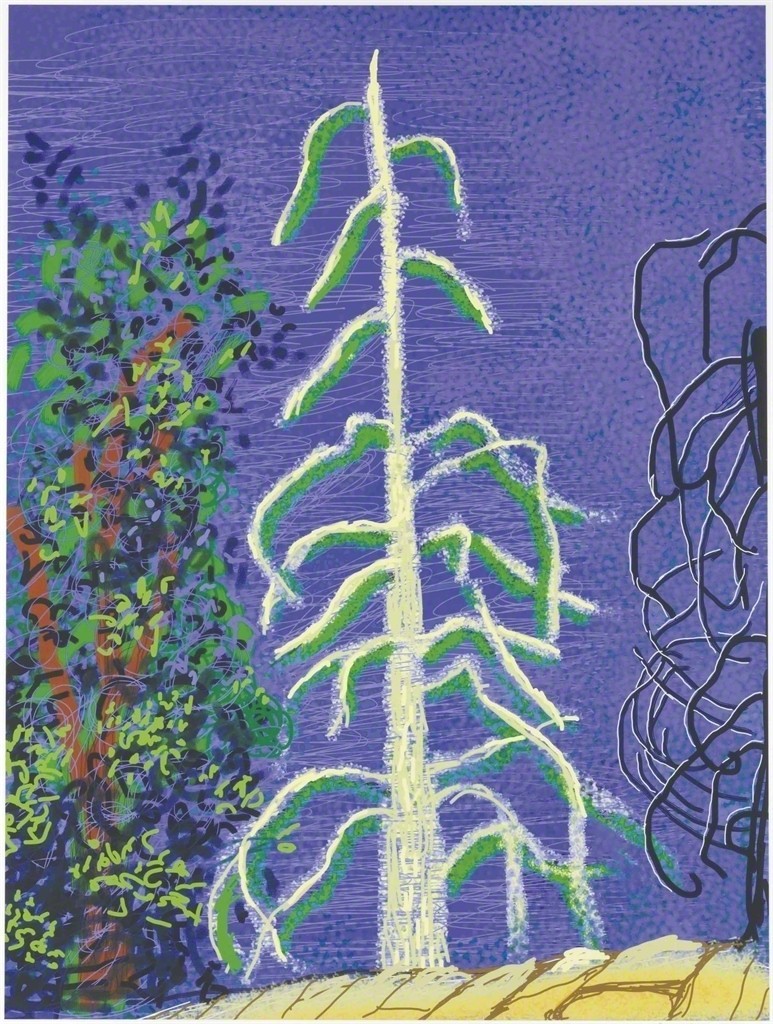 David Hockney - Untitled No. 14 from The Yosemite Suite