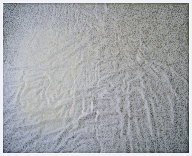 Anne Lindberg, ‘Insomnia 21’, 2008, Drawing, Collage or other Work on Paper, Colored pencil on vellum adhered to archival pigmented print, Josée Bienvenu
