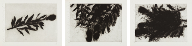 Donald Sultan, ‘Black Roses (October); Black Roses (November); and Black Roses (December)’, 1989, Phillips