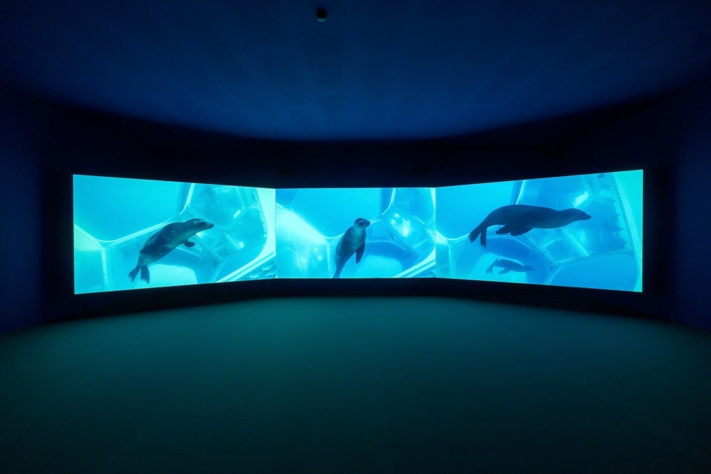 Installation view, Doug Aitken, Underwater Pavilions (video installation), 2017, Art Basel Unlimited, Basel, Stand U70 Hall 1, June 15-18, 2017. Installation view, Doug Aitken, Underwater Pavilions (video installation), 2017, Art Basel Unlimited, Basel, Stand U70 Hall 1, June 15-18, 2017.