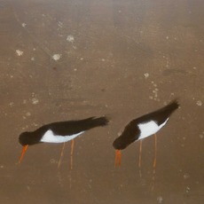 Andrew Squire