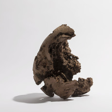 Hiroto Nakanishi