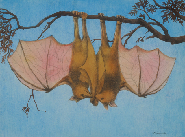 Kate Samworth, ‘We Could Talk All Night’, 2017, LeMieux Galleries