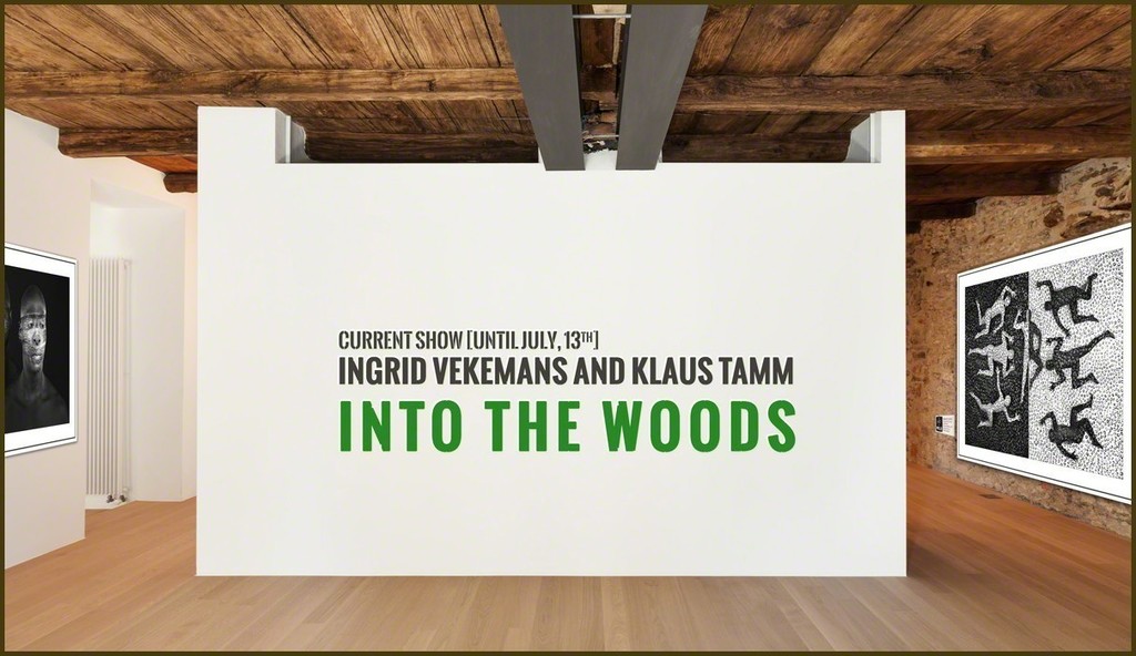 Woods, their animals and plants. Follow Ingrid Vekemans and Klaus Tamm into the hidden places of nature where its secrets lay. Woods, their animals and plants. Follow Ingrid Vekemans and Klaus Tamm into the hidden places of nature where its secrets lay.