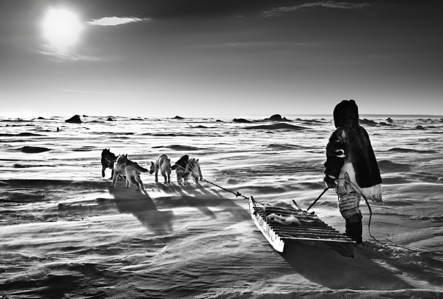 David Yarrow, ‘Frostbite’, 2013, Isabella Garrucho Fine Art